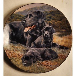 Black Labrador Collector Plate